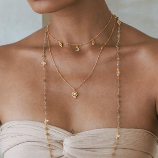 Ananda Soul - Dreamseed Halskæde - Guld - Labradorite/Moonstone